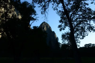 DSC_2462 (Large).JPG